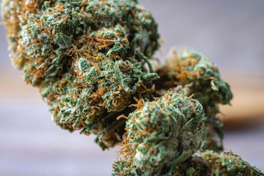 best thca flower
