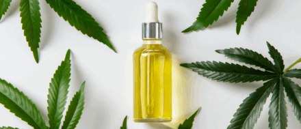 Cannabis Dispensary SEO