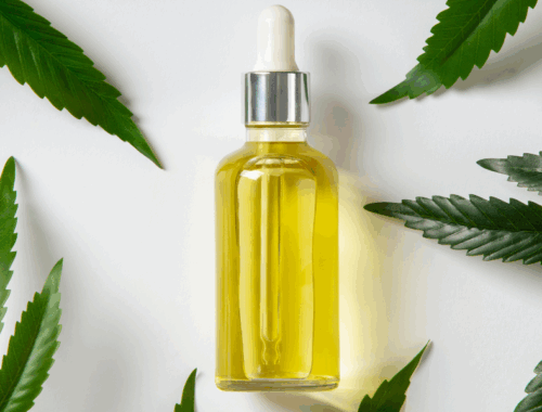 Cannabis Dispensary SEO