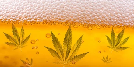 Soft refreshing drinks that bring easy comfort during simple daily moments