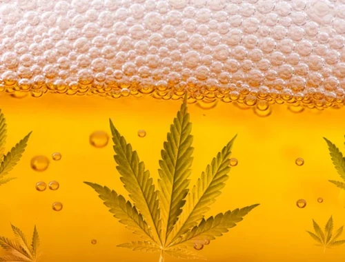 Soft refreshing drinks that bring easy comfort during simple daily moments