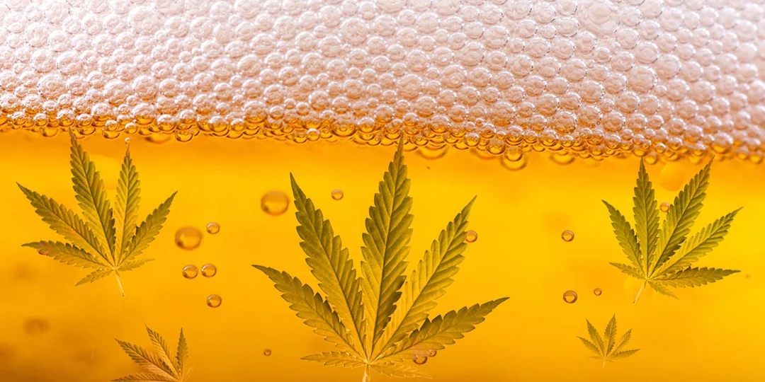 Soft refreshing drinks that bring easy comfort during simple daily moments